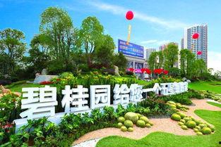 丹江碧桂园爆料最新消息,揭秘项目进展与未来规划